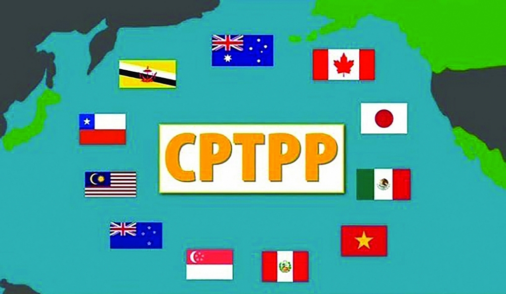 Kỳ vọng Hiệp định CPTPP sớm có hiệu lực với tất cả 11 nước thành viên